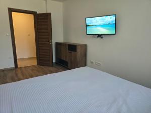 TV a/nebo společenská místnost v ubytování Apartman Cetinje