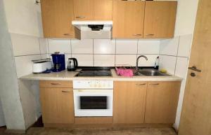 a small kitchen with a stove and a sink at Bauernhof Privatzimmer Free WiFi Gemeinschaftsbad in Hausbreitenbach