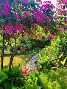 a garden with pink flowers and a path at Deep Roots Dive & Yoga Resort in Nusa Penida