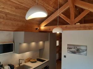 布里昂松Petit chalet neuf indépendant 2 pers "La cabane de Jean "的厨房配有木质天花板、水槽和灯