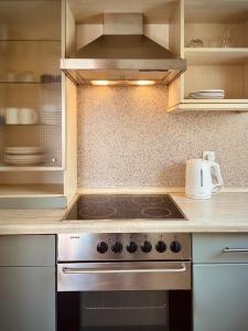 Kuchyň nebo kuchyňský kout v ubytování Fewo Sonnengelb - Fulgenhaus