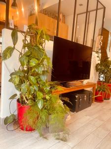 a living room with a tv and some potted plants at Maison Calme et Confort avec Jardin, Face Parc Exposition - Aéroport du Bourget, à 10 min de CDG in Le Blanc-Mesnil