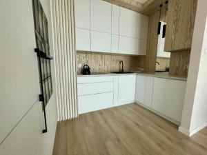 Kuchyň nebo kuchyňský kout v ubytování Apartament Pirat