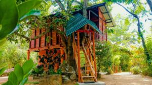una casa sull'albero con una scala di fronte di Sigiri Sky Home & TreeHouse a Sigiriya