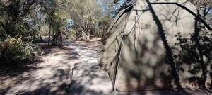 Fotografie z fotogalerie ubytování Hyenas howl campsite v destinaci Chobe