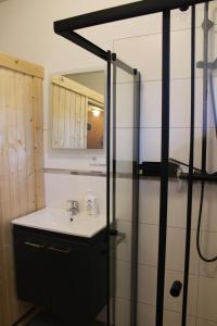 a bathroom with a sink and a shower with a mirror at Ferienhaus Seehuis, Sauna, angeln, familienfreundlich in Twist +50 photos