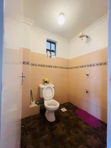 a bathroom with a white toilet in a room at Bella Homes Thika Town in Thika