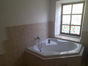 Koupelna v ubytování Apartmán Vyhlídky