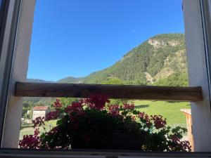 Afbeelding uit fotogalerij van Les champs étoilés in Castellet-lès-Sausses +42 foto's