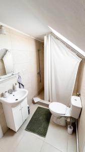 a bathroom with a toilet and a sink and a shower at Casa Ferenczi Vendégház in Sovata