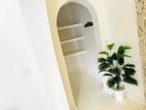Fotografie z fotogalerie ubytování Dream Luxury B&b Watamu v destinaci Watamu