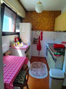 Η κουζίνα ή μικρή κουζίνα στο Apartman Ana