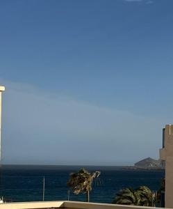 a view of the ocean with a palm tree at Apartamento San Antonio in Carboneras