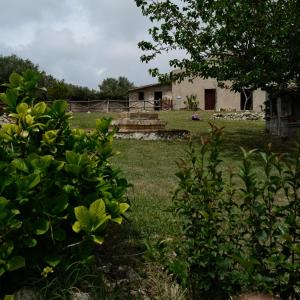 A garden outside Borgo Santa Lucia