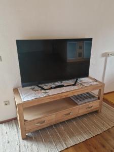 TV a/nebo společenská místnost v ubytování Wohnung mit Garten