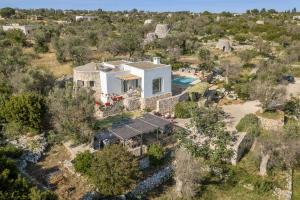 an aerial view of a house with a pool at Trullo Contessina in Torre Vado