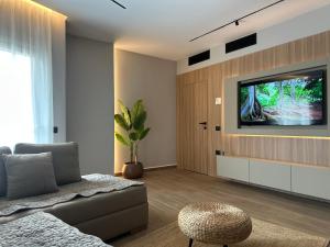 TV a/nebo společenská místnost v ubytování Brownie house
