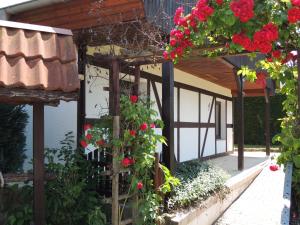Ferienhaus Weinberg في فيرنيغيروده: حديقة بها زهور حمراء على مبنى