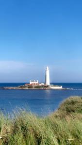 Naturlandskabet i nærheden af lejligheden