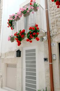BitettoLa Maddalena 5的建筑物上的一扇开满鲜花和天竺葵的门