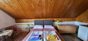 Giường trong phòng chung tại Accommodation Konak