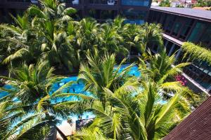 une vue aérienne de palmiers et d'une piscine dans l'établissement Saturdays by Holy Cow, à Ban Saiyuan (1)