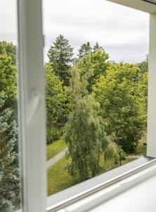 a window with a view of a tree at Külaliskorter Kärdlas in Kärdla