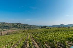 Paesaggio naturale nelle vicinanze del bed & breakfast