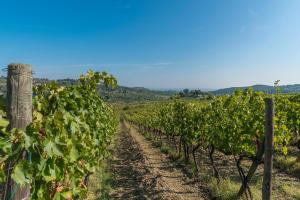 Paesaggio naturale nelle vicinanze del bed & breakfast