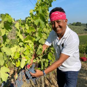 Ospiti di The Grapevine by MANVI