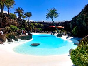 une piscine avec de l'eau bleue et des palmiers dans l'établissement Sunny Apartment, à Puerto del Carmen