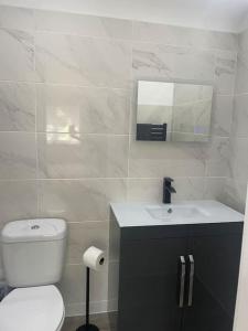 a bathroom with a toilet and a sink and a mirror at The Old Stable, Rustic Charm Modern Comforts in Gorfield