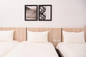 Voodi või voodid majutusasutuse Chao Hostel toas