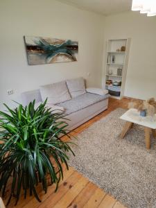 Fotografie z fotogalerie ubytování Self chek-in cozy two-room apartment v destinaci Priekuļi