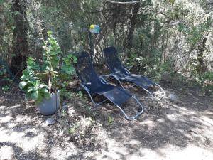 two black chairs sitting next to a potted plant at Roulotte Fenouillet in Hyères