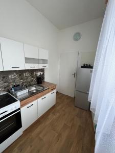 Kuchyň nebo kuchyňský kout v ubytování Apartmán v Kyjově + 7 fotografií