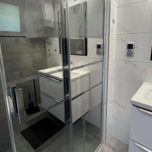 a bathroom with a shower and a sink at Stumilowy Las - Białe Domki in Mielenko +3 photos