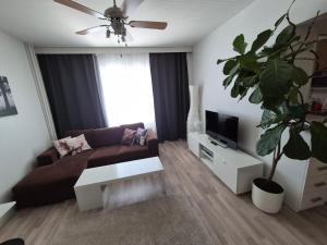 a living room with a couch and a plant at Linnankatu Apartment in Savonlinna