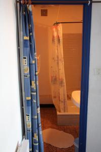 ein Bad mit einem Duschvorhang und einem WC in der Unterkunft Le Pourquoi Pas in Saint-Lary-Soulan