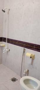 a bathroom with a toilet and a shower at City Home Guest House F8-3 in Islamabad