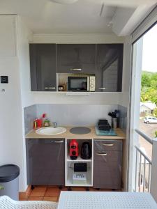 a small kitchen with a sink and a microwave at Régal de la Baie in La Trinité