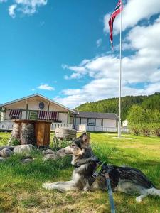 a dog laying in the grass in front of a flag at Nordnes Kro og Camping in Rokland