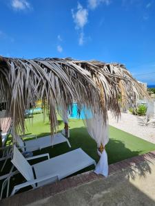 une vue sur une plage avec deux chaises longues et un parasol dans l'établissement Villa Raven's Paradise (Rosado), à Willemstad