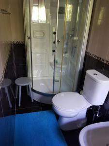 a bathroom with a toilet and a shower at Moradia Rotunda dos Bois in Montalegre