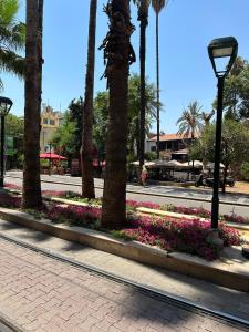 a street with palm trees and flowers in a park at Loost Town Inn Hotel in Antalya