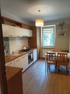 Kuchyňa alebo kuchynka v ubytovaní Apartament Blekit Nieba