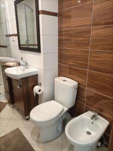 Kúpeľňa v ubytovaní Apartament Blekit Nieba + 12 fotografií