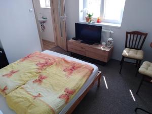 TV a/nebo společenská místnost v ubytování Ubytování v soukromí Libice nad Cidlinou