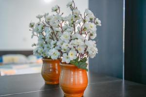 two orange vases with white flowers in them on a table at Rexha Apartments in Ulcinj