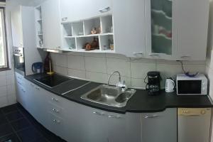a kitchen with a sink and a microwave at Petronas Apartment in Niš